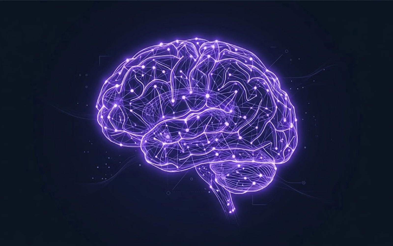 Segundo Cerebro